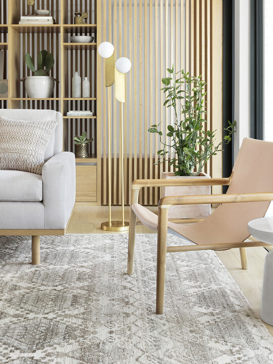 Idris ID01 Stone 4' x 6' Rug