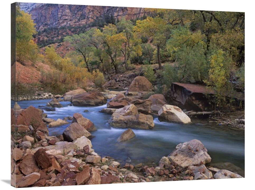 Virgin River flowing through canyon in autumn, Zion National Park, Utah-Canvas Art-40x30