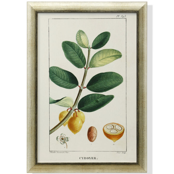 Framed Print Under Glass