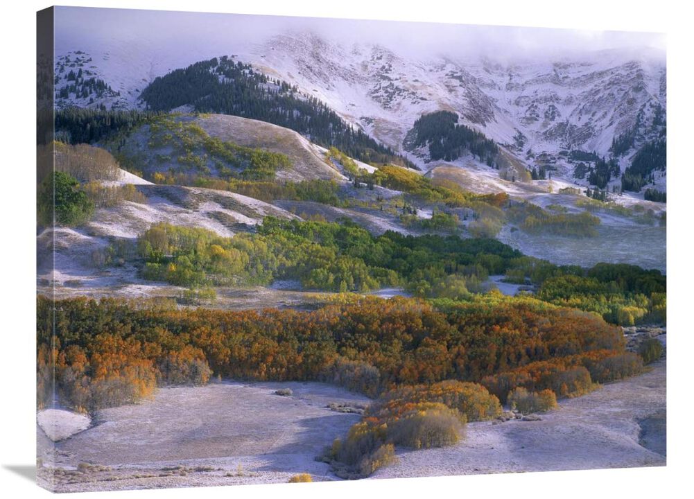Elk Mountains with dusting of snow, Colorado-Canvas Art-32x24