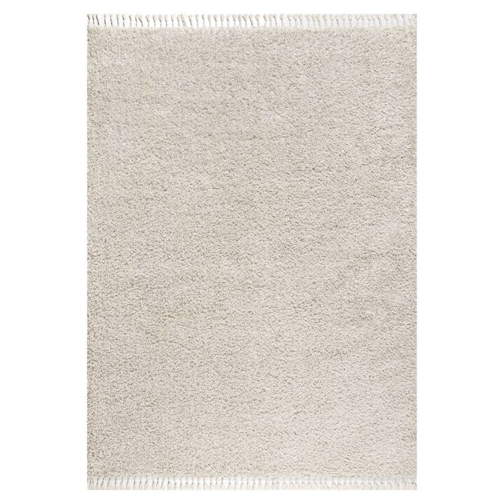 Mercer Shag Plush Tassel Area Rug