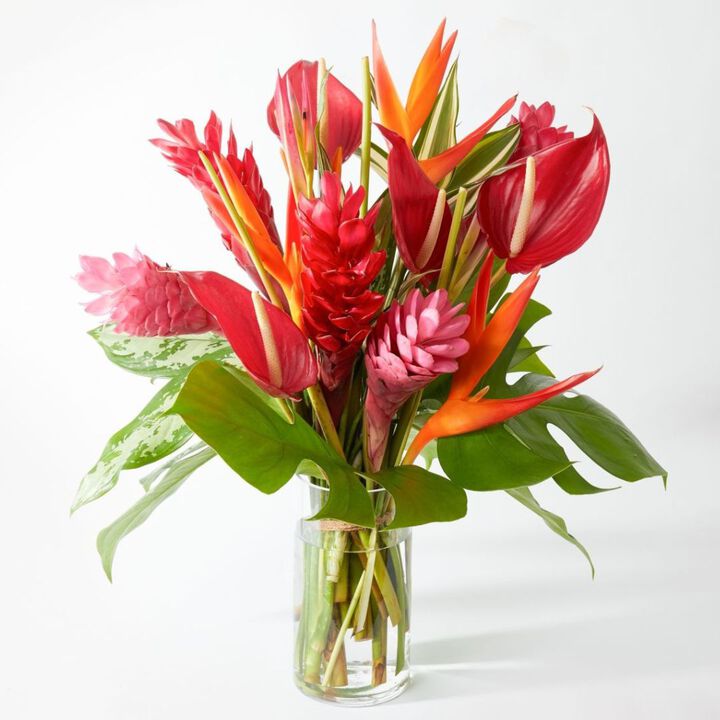 Red Jungle Tropical Bouquet with vase