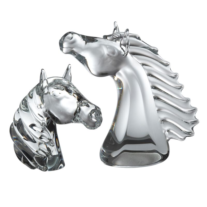 Thoroughbred Horse Head