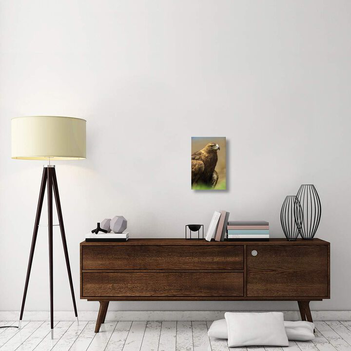 Golden Eagle portrait, North America-Canvas Art-12x18