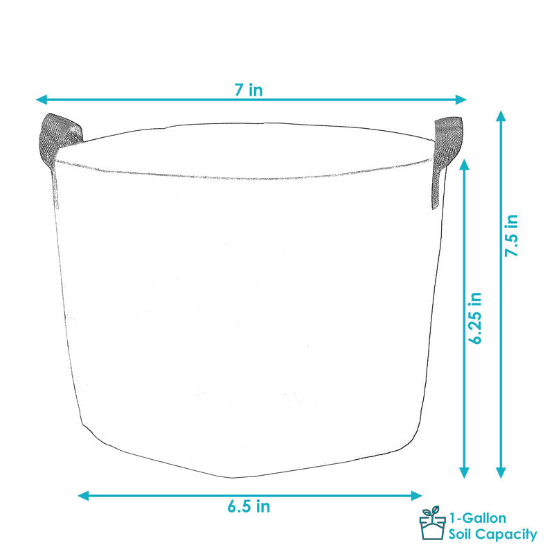 Sunnydaze Nonwoven Polypropylene Fabric Grow Bag with Handles - 1 gallon
