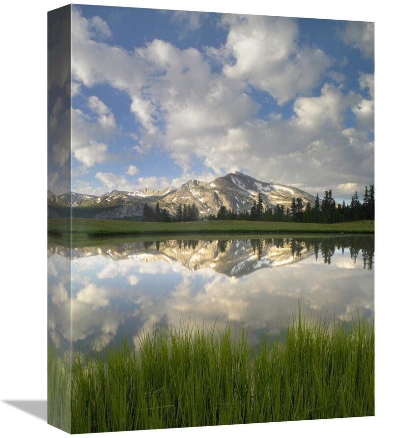 Mammoth Peak and scattered clouds reflected in lake, Yosemite National Park, California-Canvas Art-12x16