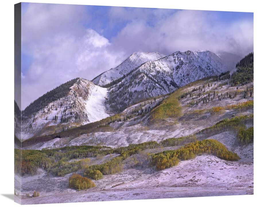 Elk Mountains with snow in autumn, Colorado-Canvas Art-30x24.9