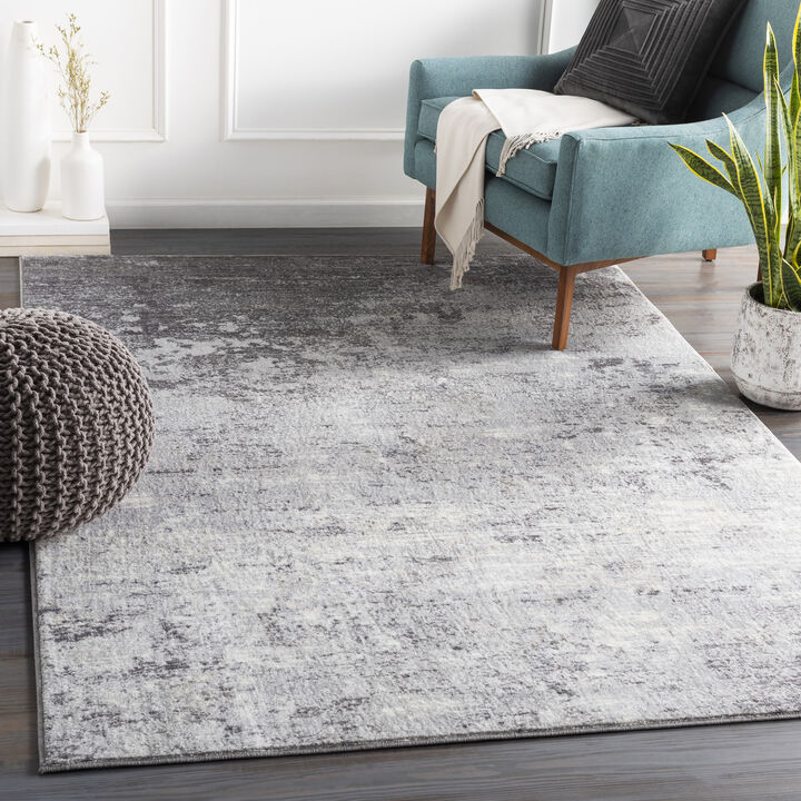Wanderlust WNL-2310 2' x 3' Gray Rug