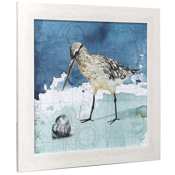 Sandpiper II Framed Print