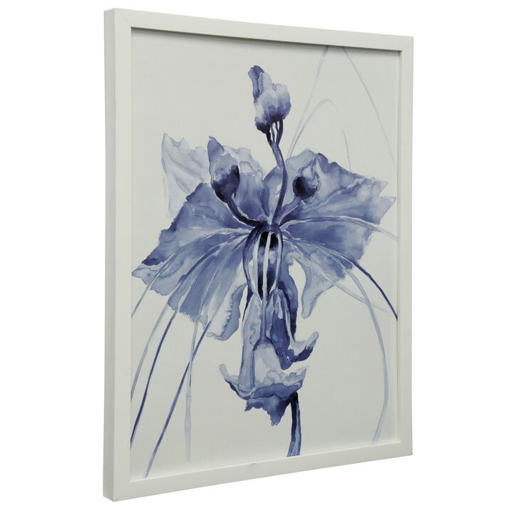 Blue Iris Framed Print