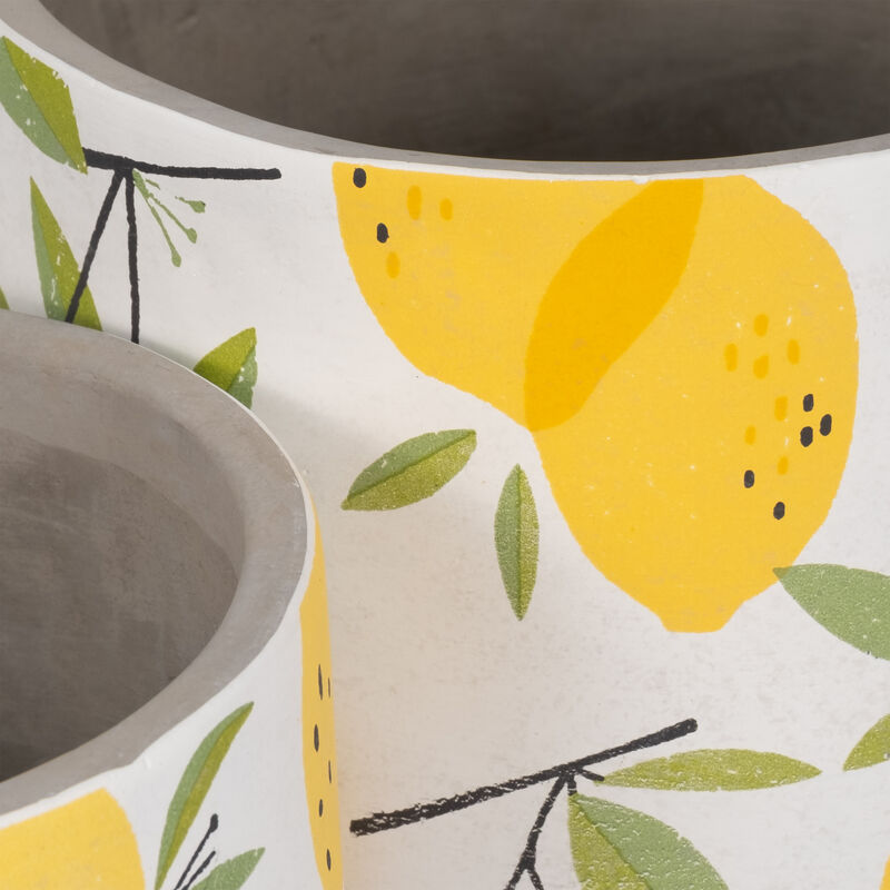 Growing Lemons Planter