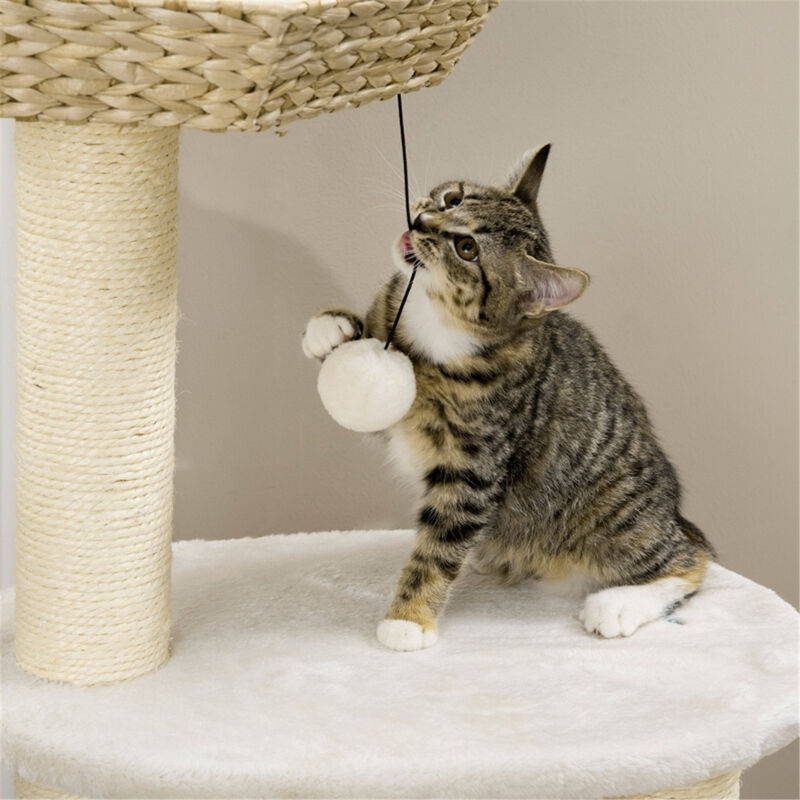 Multi-Level Cat Tree with Scratching Posts, Cozy Perches, and Hideaways for Indoor Cats