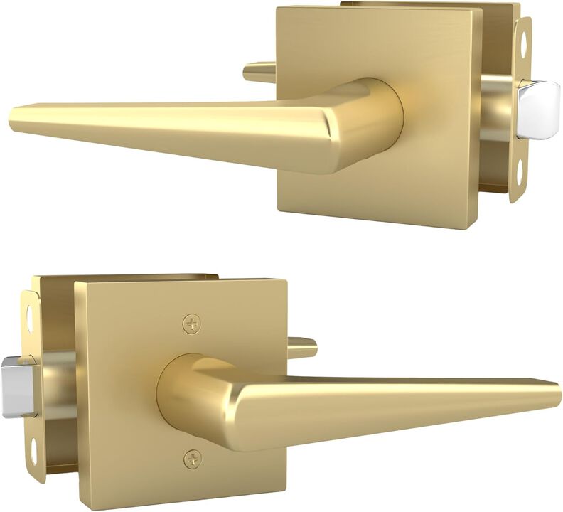 Mega Handles | Schein Passage Lever