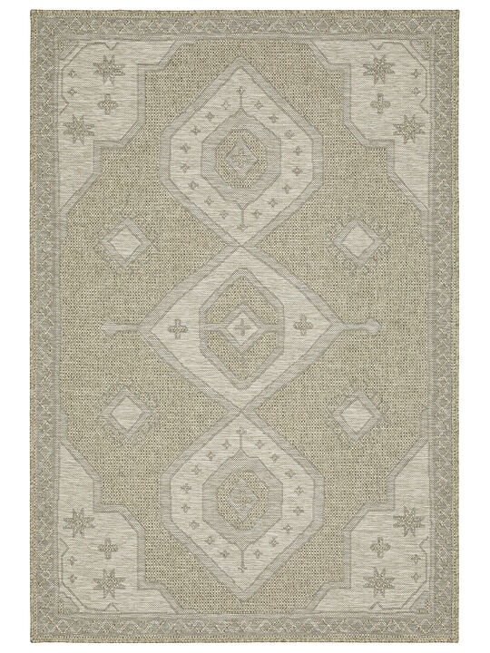 Tortuga 3'3" x 5' Beige Rug