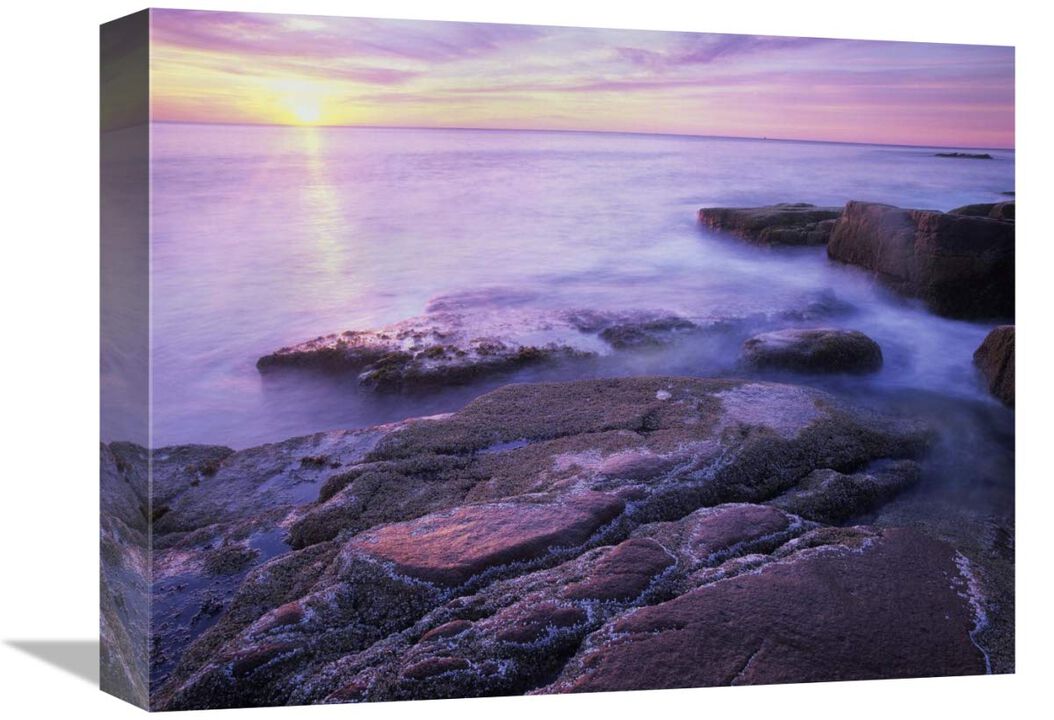 Atlantic coast near Thunder Hole, Acadia National Park, Maine-Canvas Art-16x12