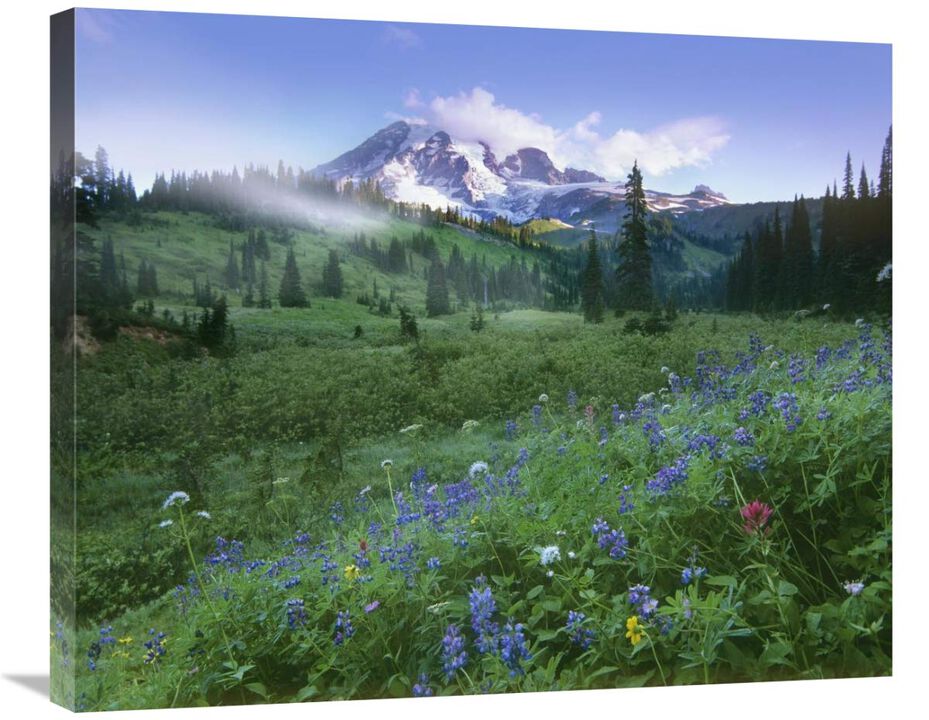 Incoming fog on Mount Rainier, Mount Rainier National Park, Washington-Canvas Art-30x24.9