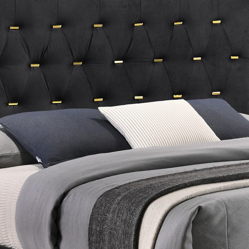 Lif Platform King Size Bed, Panel Tufted Headboard, Gold, Black Velvet-Benzara