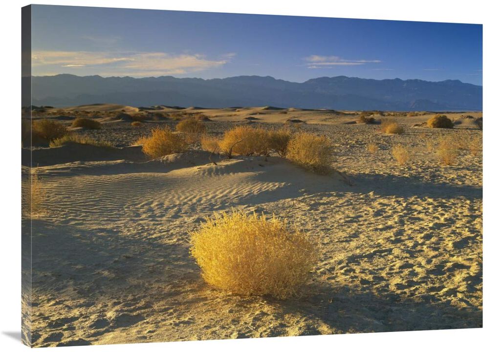 Mesquite Flat Sand Dunes, Death Valley National Park, California-Canvas Art-40x30