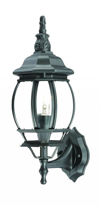 Hivvago Matte Black Ornamental Glass Globe Wall Light