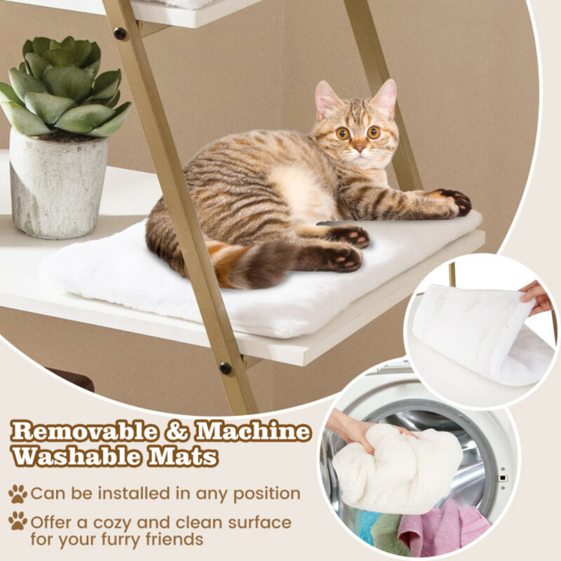 Large Cat Litter Box Enclosure with Storage and Ladder Shelf