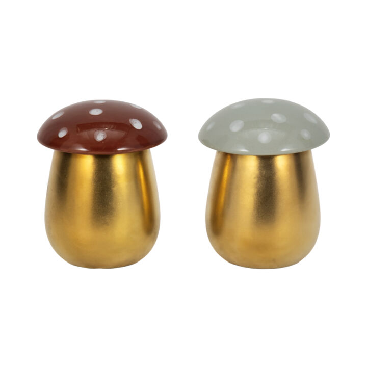 6 Oz Fig & Apricot 6" Mushroom Candle