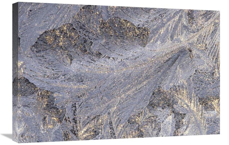 Frost crystal formation on window, North America-Canvas Art-30x20