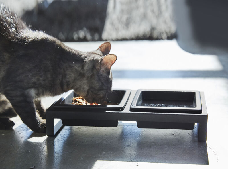 Pet Food Bowl - Two Styles