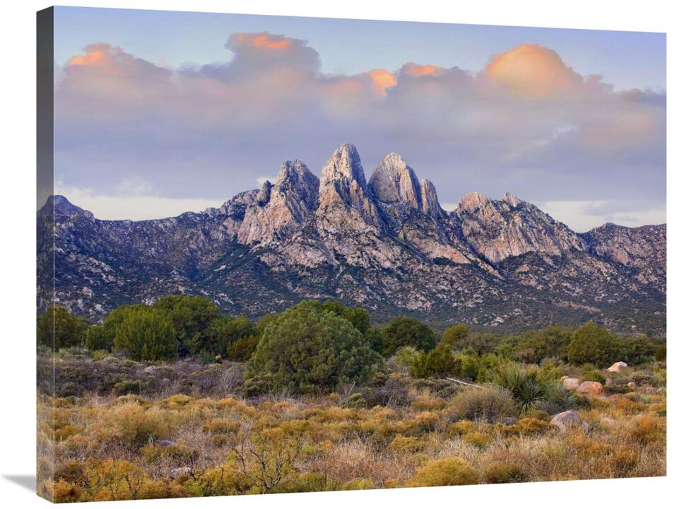 Organ Mountains, Chihuahuan Desert, New Mexico-Canvas Art-32x24