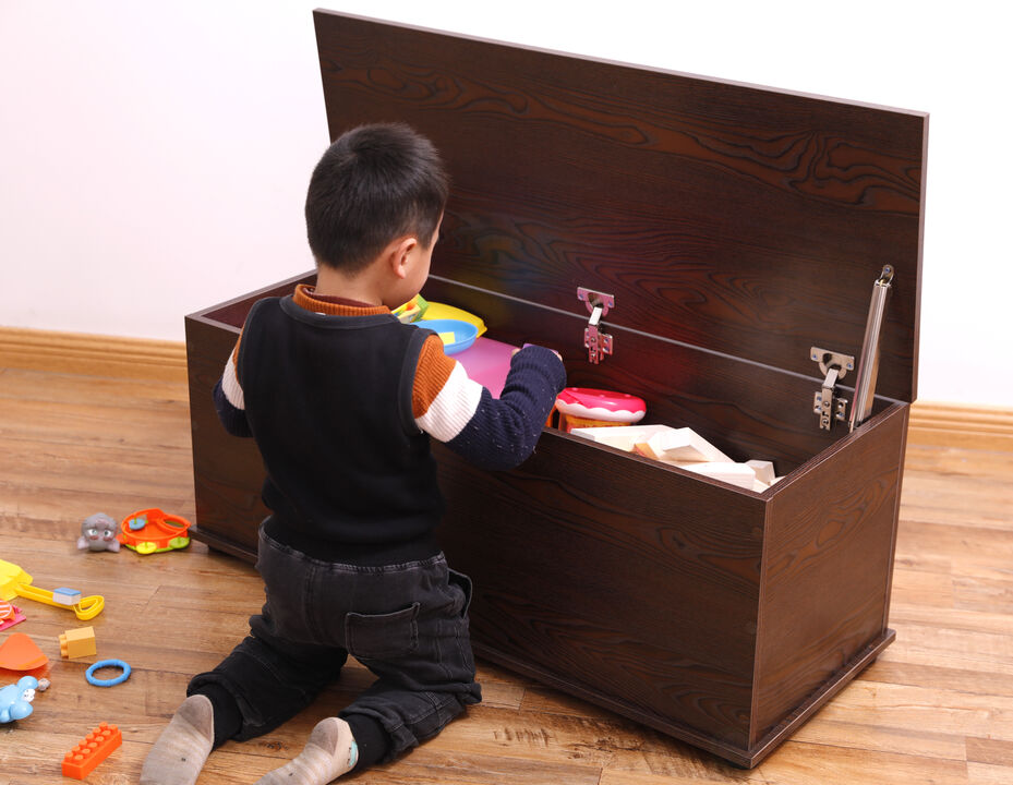 Large Storage Toy Box with Soft Closure Lid, Wooden Organizing Furniture Storage Chest, Brown
