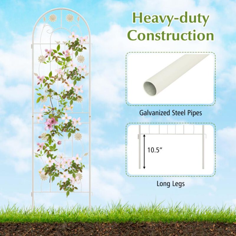 Hivvago 4 Pack 71 x 20 Inches Metal Garden Trellis for Climbing Plants
