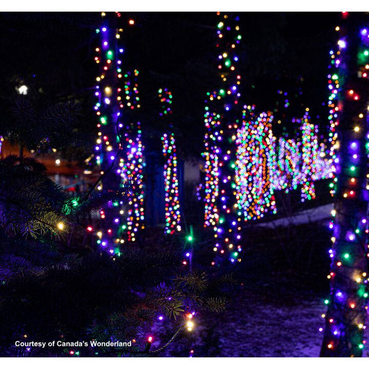 50 Champagne LED Wide Angle Christmas String Lights - 25.17 ft Green Wire