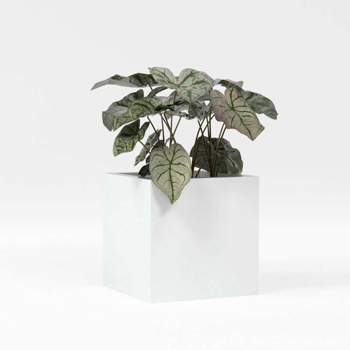 Greenline Fiberglass Jack Medium Indoor/Outdoor Square Cube Planter - 16 in x 16 in x 16 in