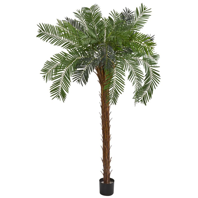 Hivvago 7 Feet Cycas Palm Artificial Tree