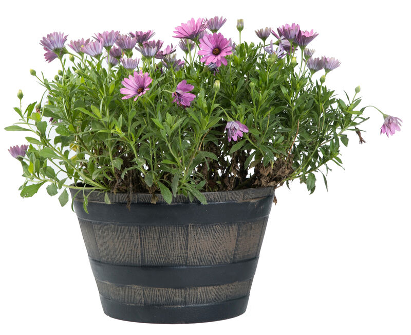 Rustic Wood - Look Plastic Half Barrel Flower Pot, Pack of 4