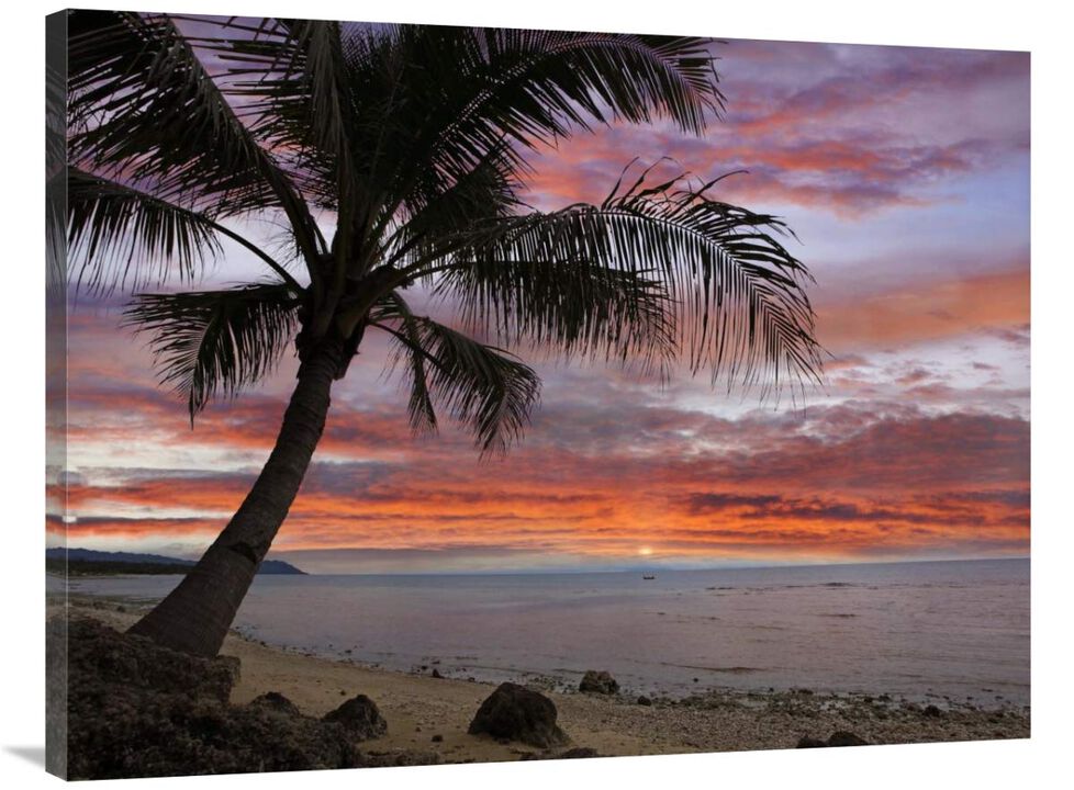 Coconut Palm at sunset near Dimiao, Bohol Island, Philippines-Canvas Art-40x30