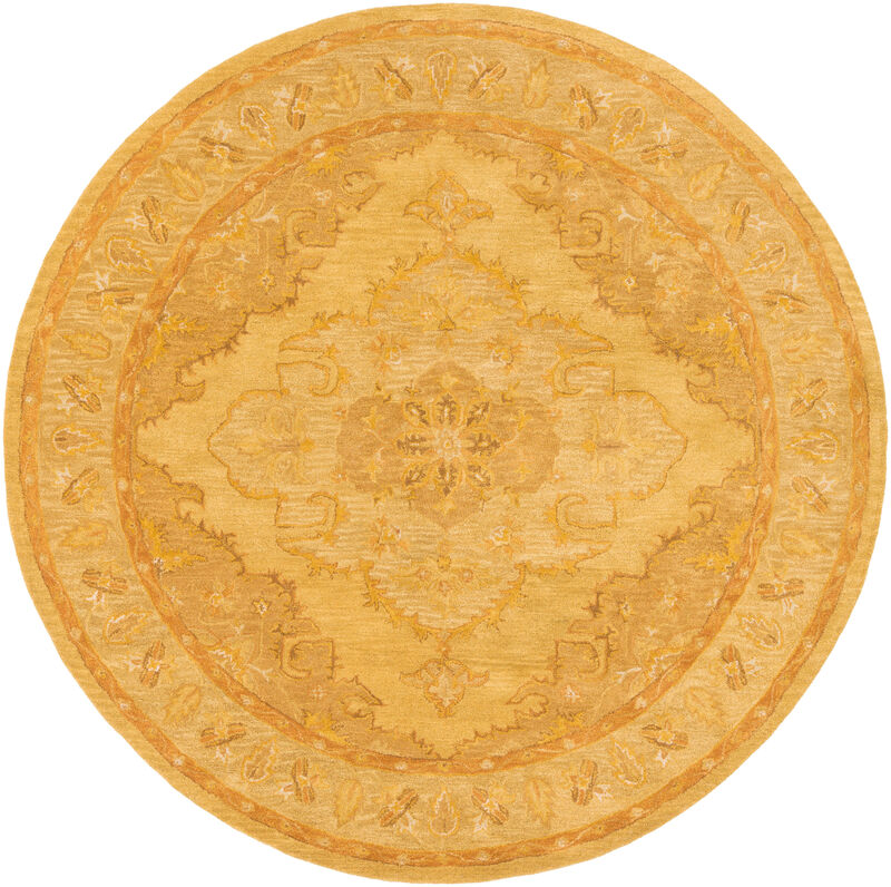 Middleton AWHR-2059 7'6' x 9'6' Gold Rug