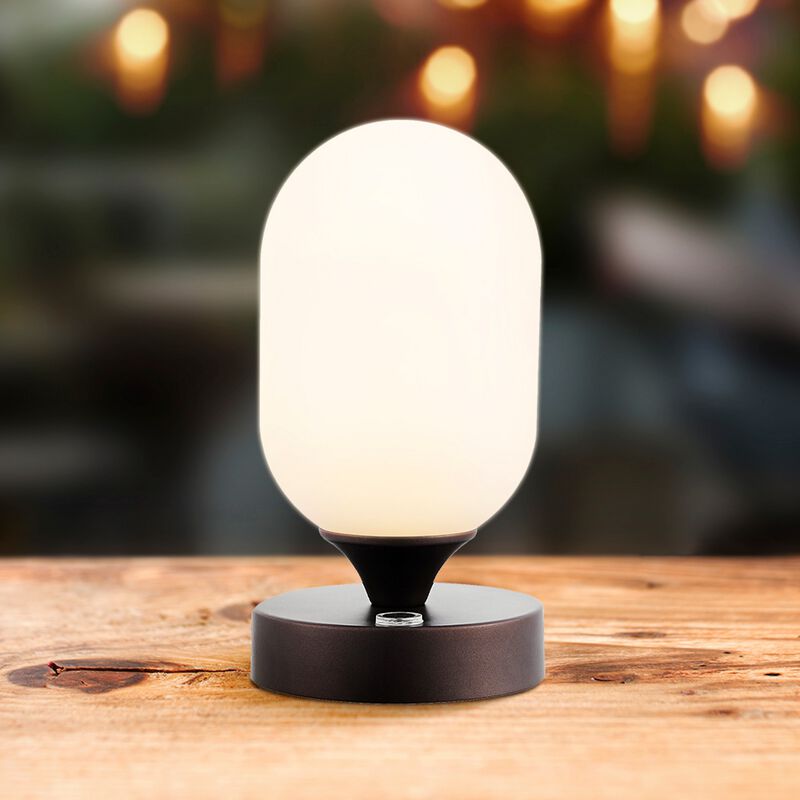 Eli Bohemian Farmhouse Iron Rechargeable Integrated LED Table Lamp