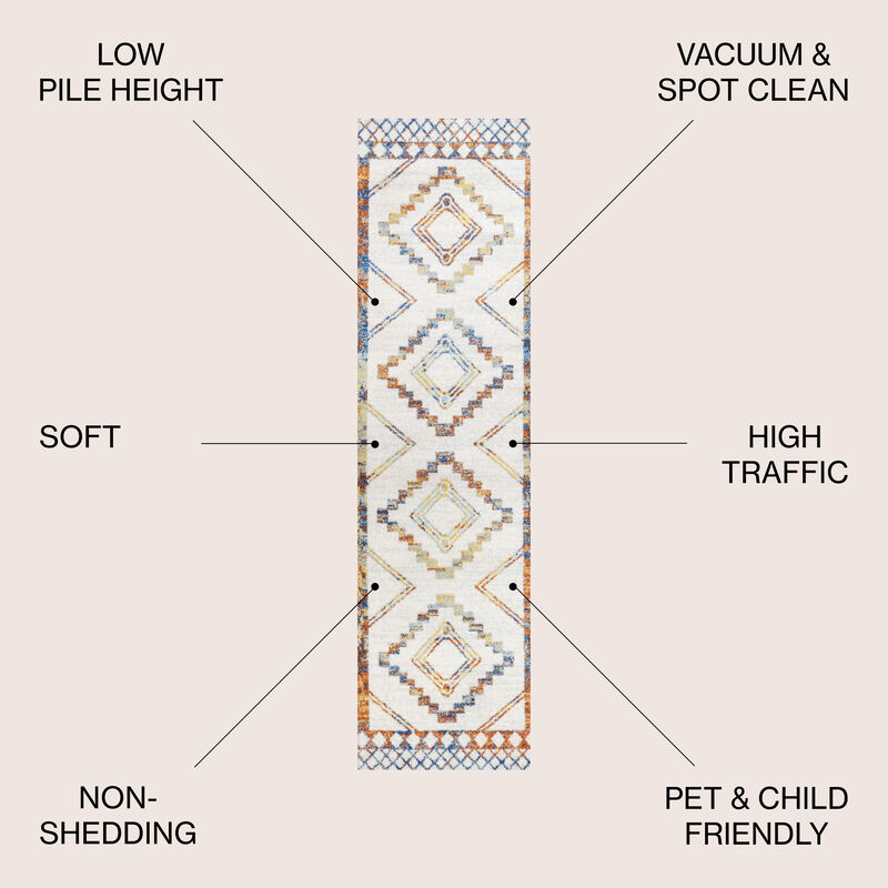 Amir Moroccan Beni Souk Area Rug