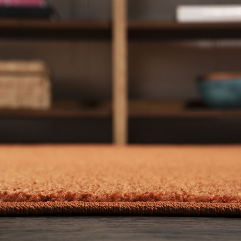 Haze Solid Low Pile Area Rug