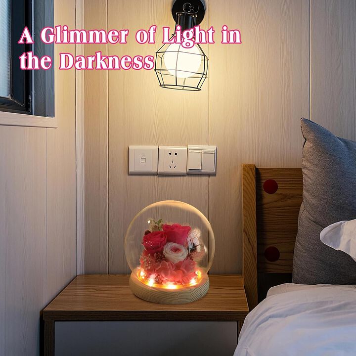 Red Rose in Glass Dome with LED Light,Gifts for Women