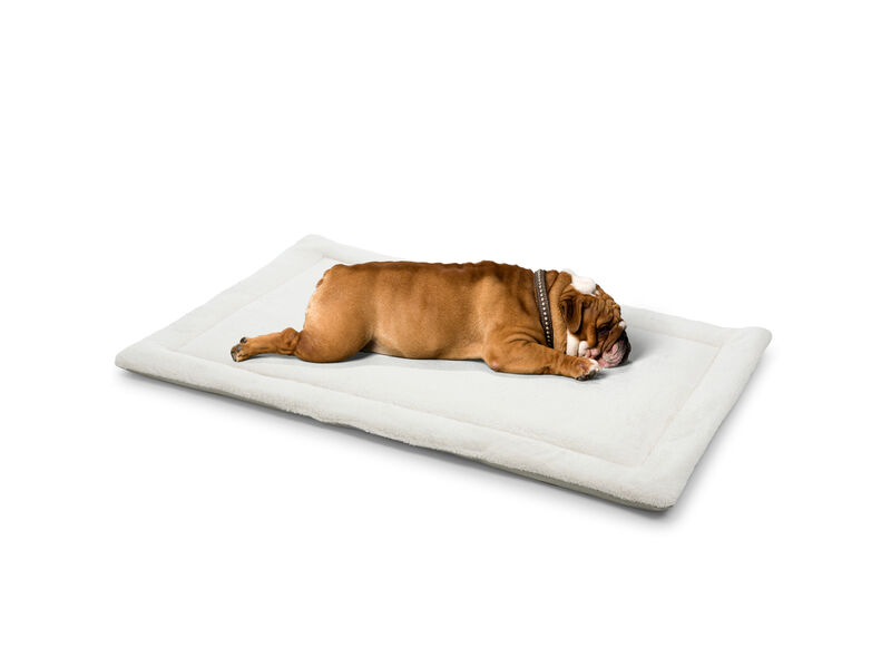 Teddy Sofa Cover For Pets - Blanket - White