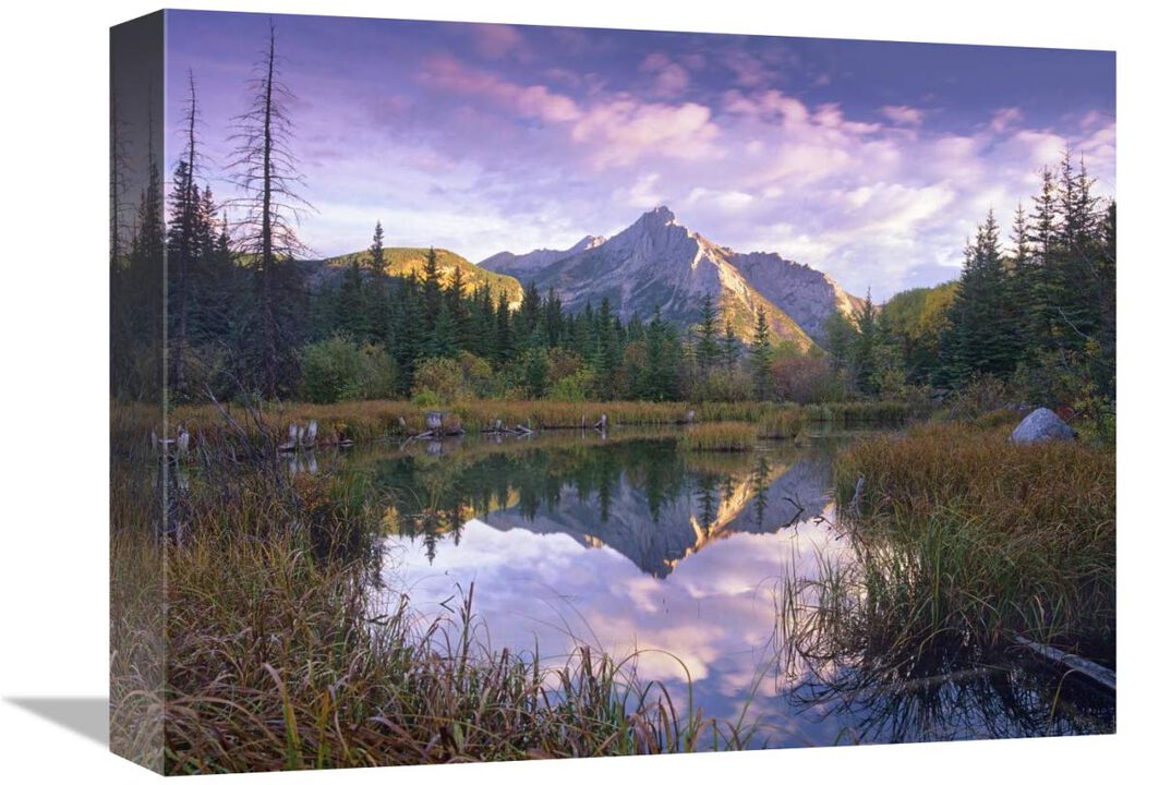 Mount Lorette and spruce trees reflected in lake, Alberta, Canada-Canvas Art-16x12