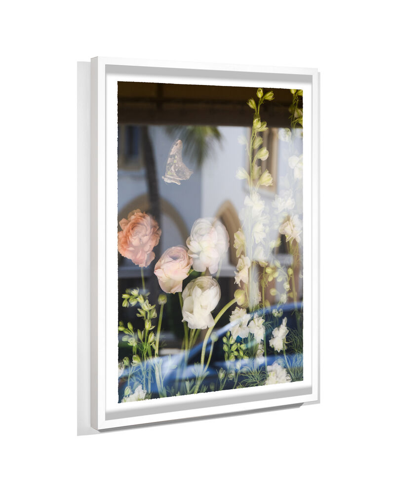 Palm Beach. Morgenthal Fredericks Window Reflection
