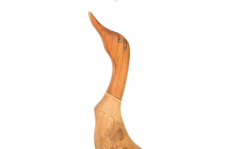Wood Duck Set of 2