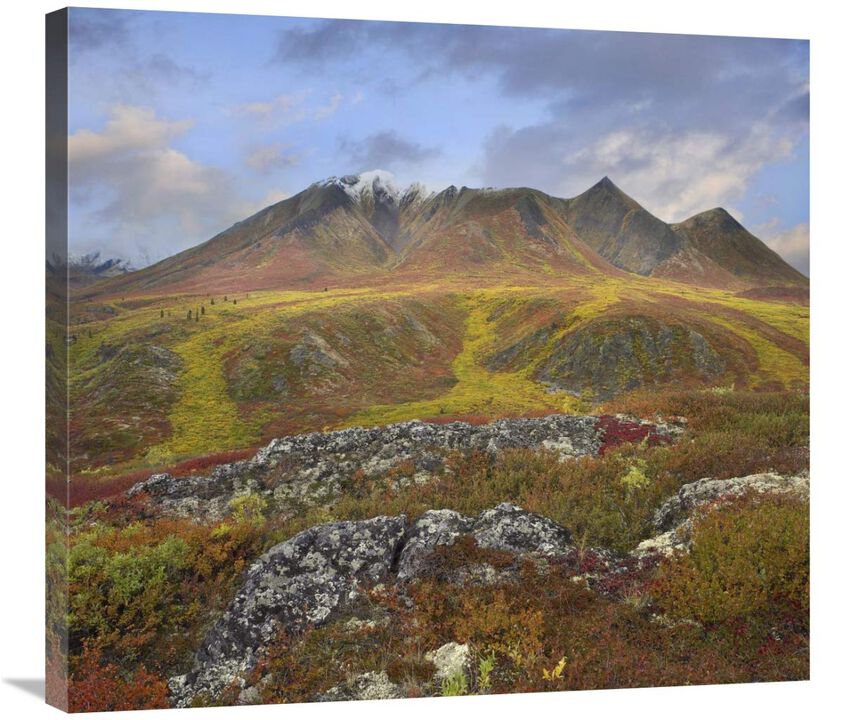 Cloudy Range, Tombstone Territorial Park, Yukon, Canada-Canvas Art-30x27.3