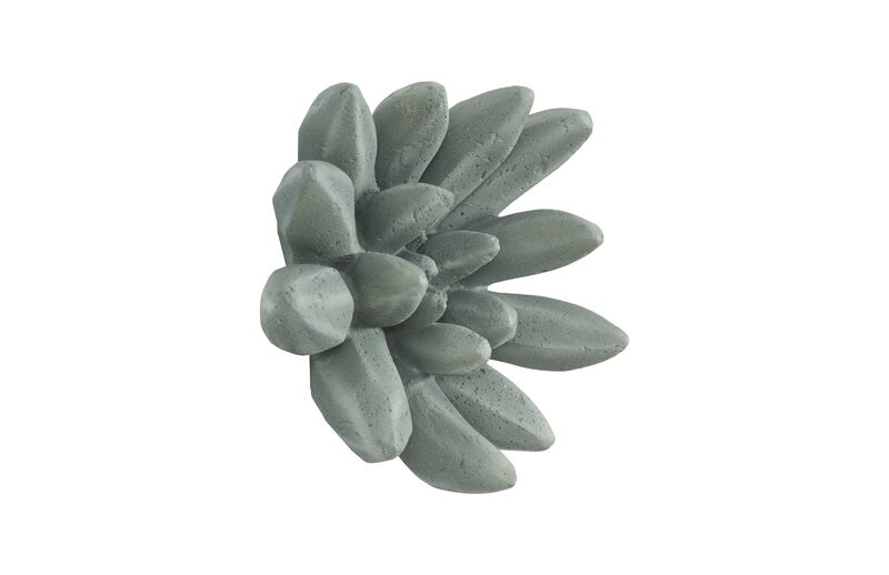 Compactum Succulent Wall Art in Forest