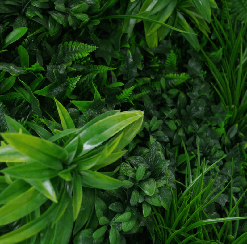 Luxury Green Tropics Artificial Living Wall / Green Wall 40" x 40" 11SQ FT Commercial Grade UV Resistant