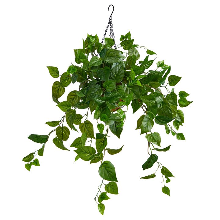 Hivvago 2.5" Philodendron Artificial Plant in Hanging Basket