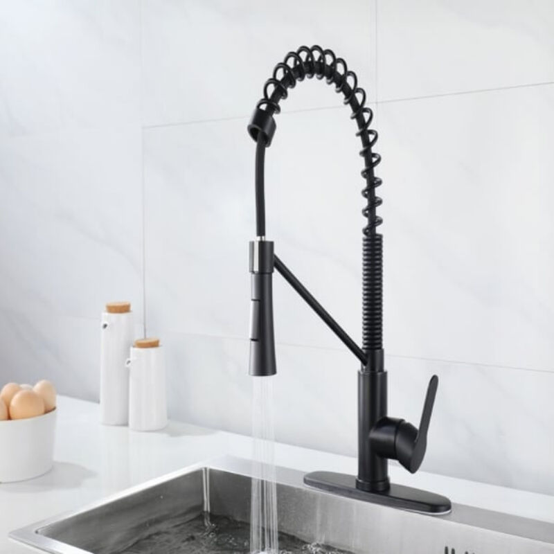 Single Handle Kitchen Sink Faucet with Pull Down Sprayer and Soap Dispenser