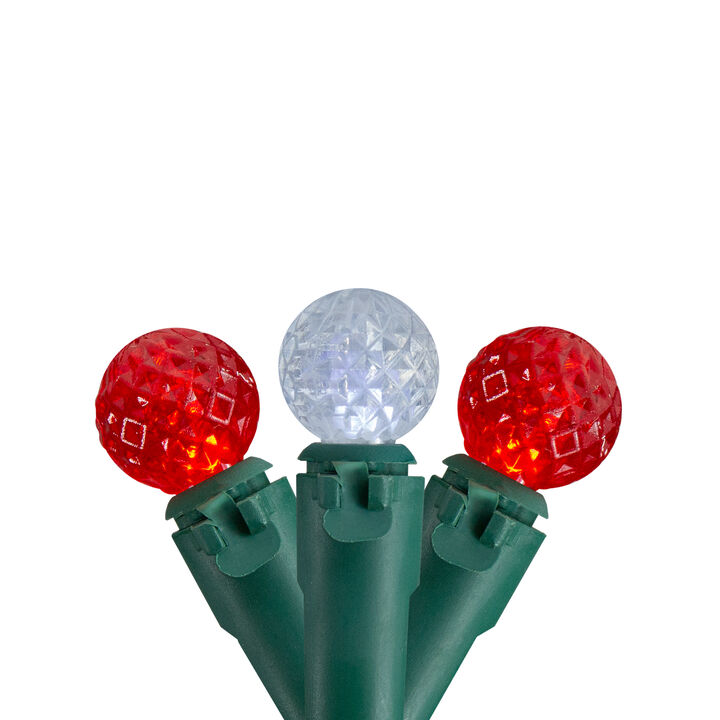 50 Count Red and White LED G12 Berry Christmas Lights  15.9 ft Green Wire